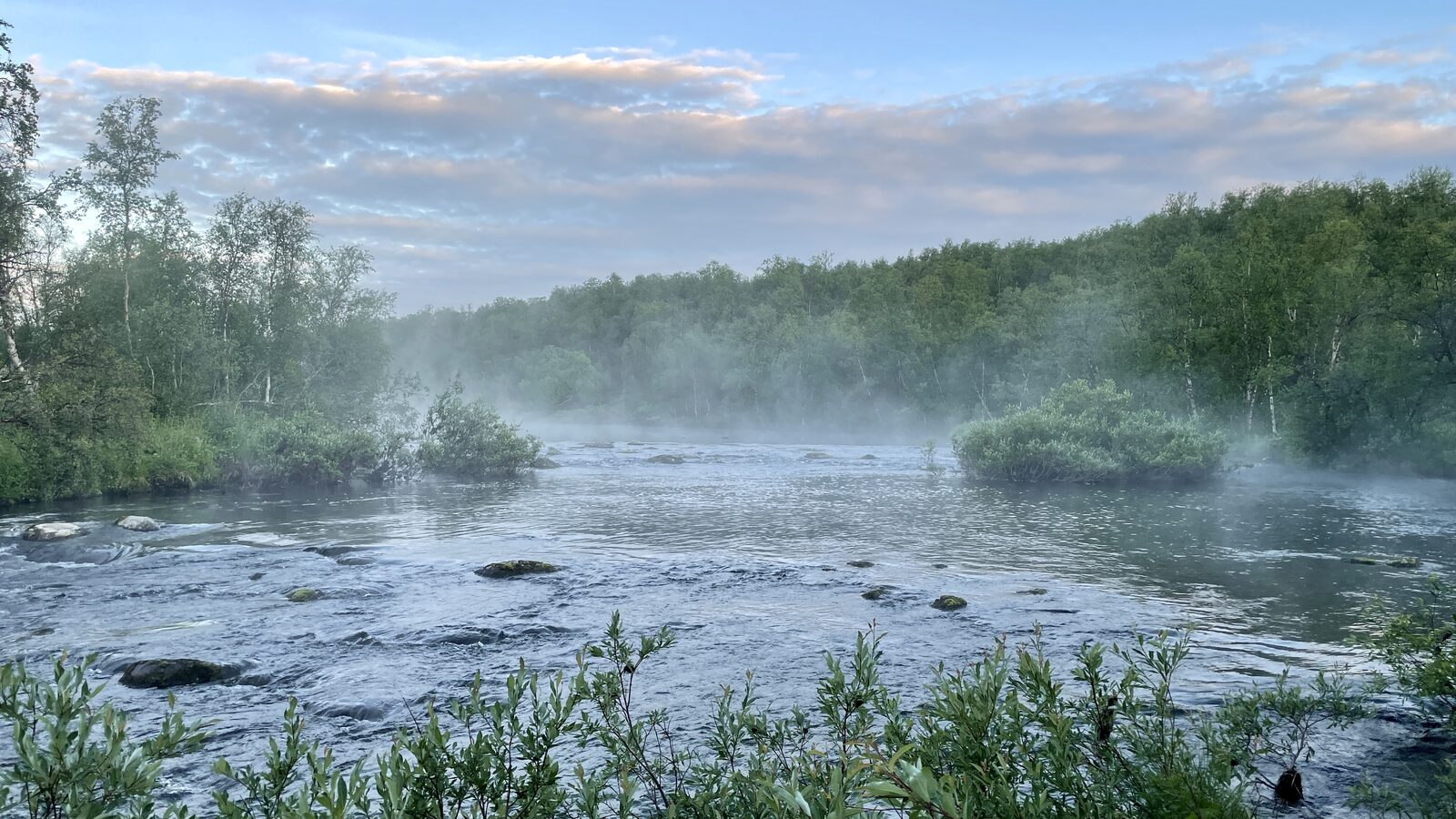 Tåkete elv om morgenen