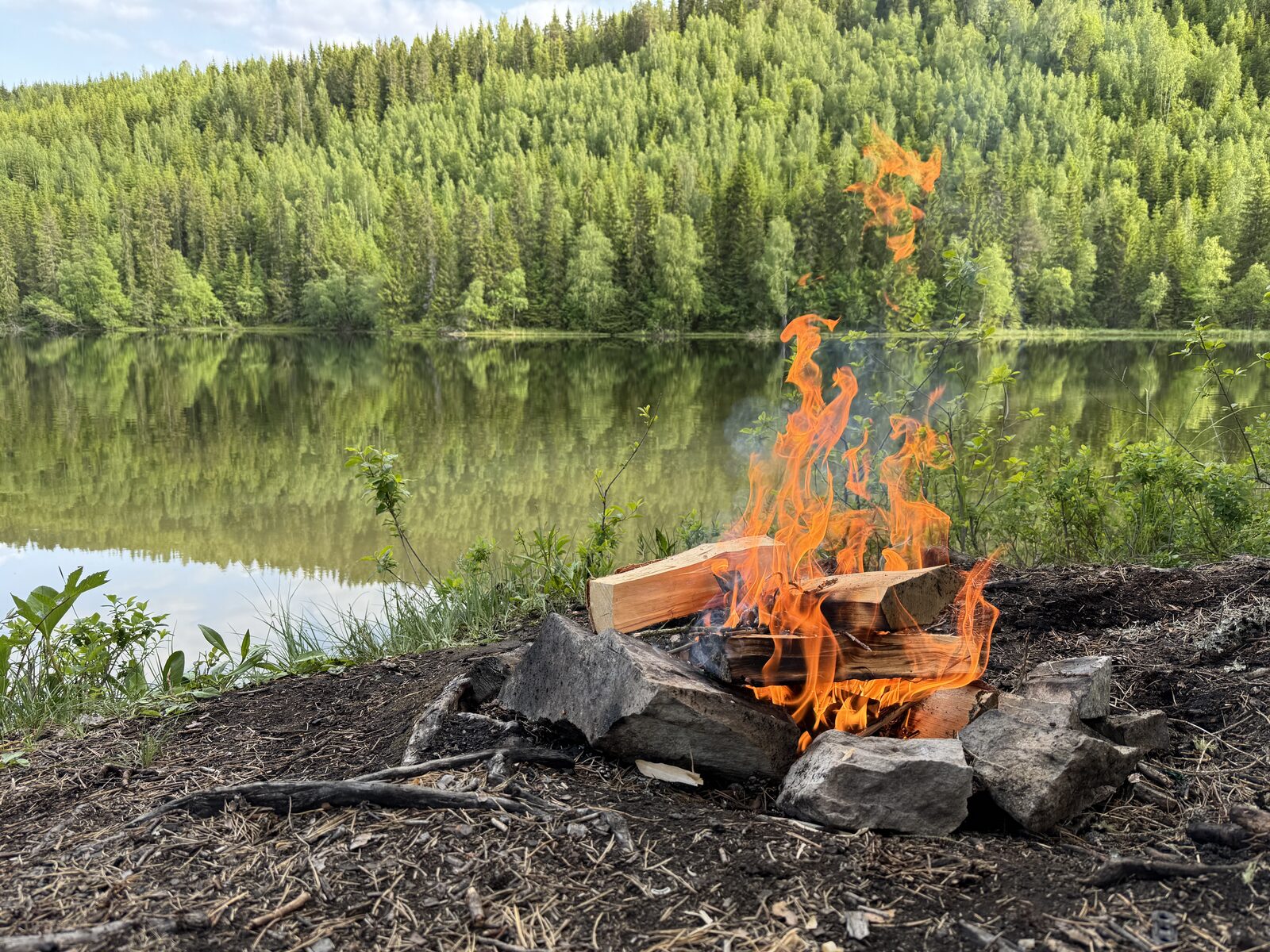 Bål ved skogstjern
